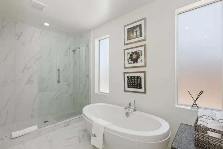 Skylar Master Bath Bathtub Shot