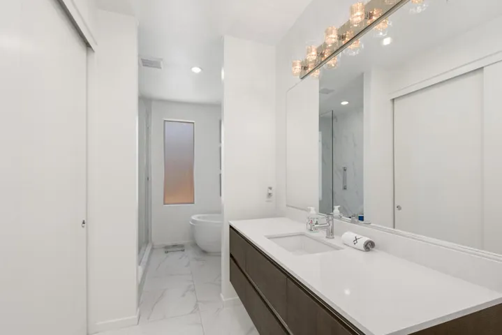 Skylar Master Bathroom Counter Shot Angl