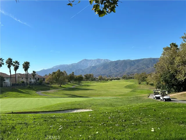 Impeccable Lush Grounds.