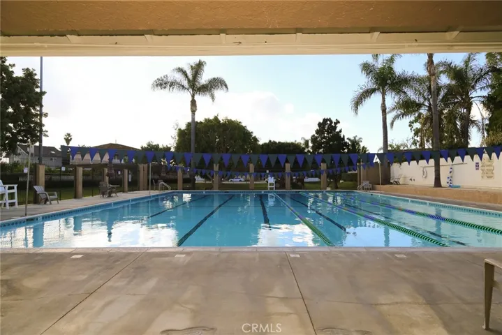 Olympic Pool