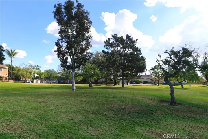 Lots of Green area