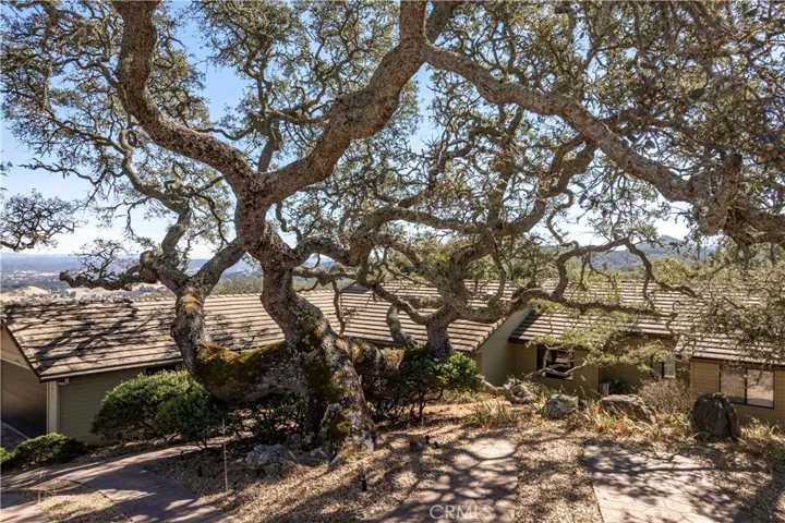 Old growth Oak trees pepper the property