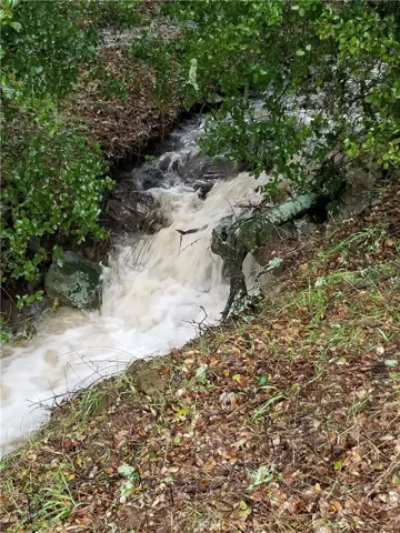 Seasonal Stream