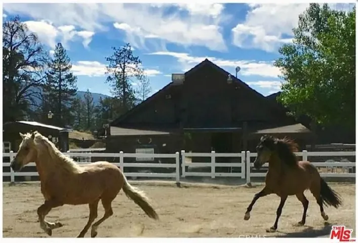 16330 Mil Potrero, Pine Mountain Club, California 93222