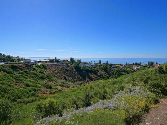 Beautiful Ocean and Catalina Views