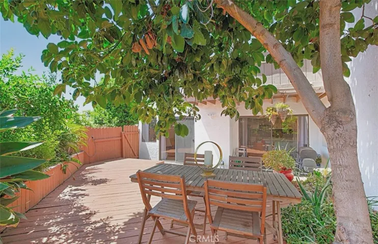 big back yard with avocado tree