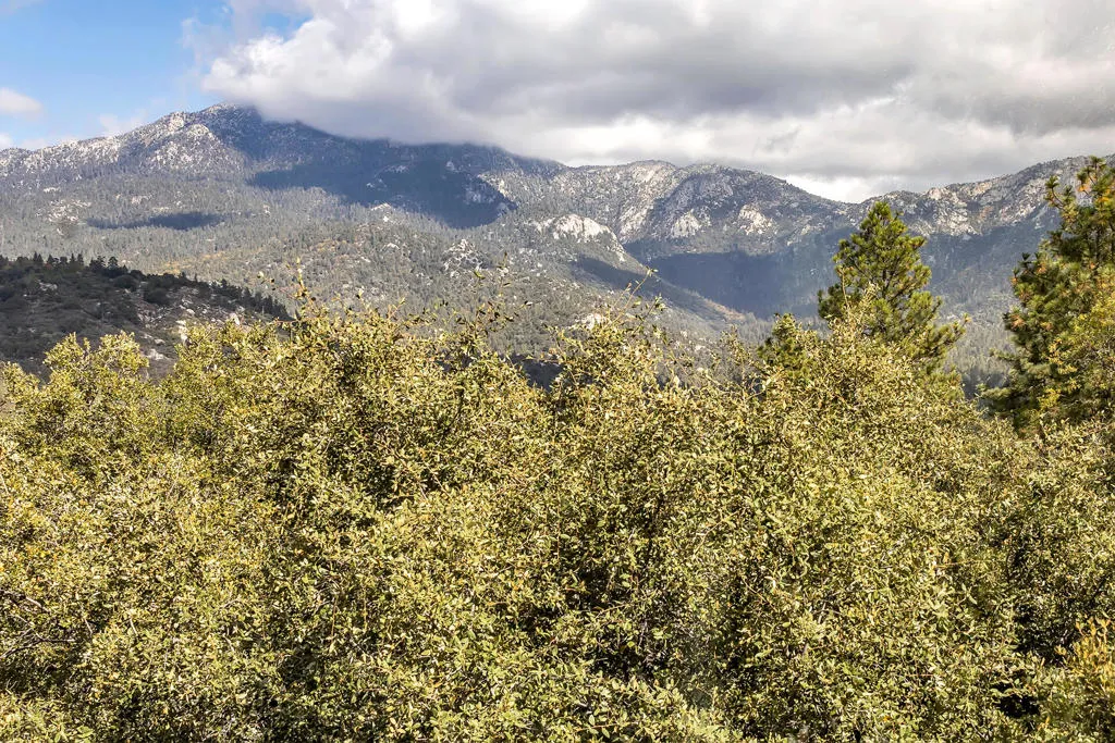 53010 Inspiration Lane, Idyllwild, California 92549 home-pic-30