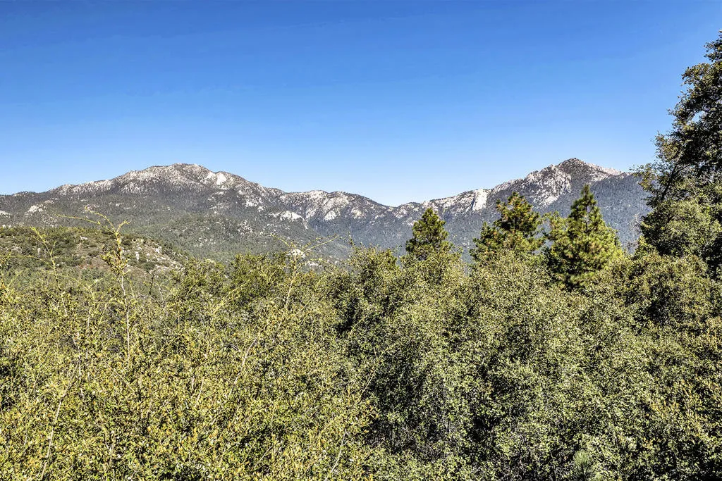 53010 Inspiration Lane, Idyllwild, California 92549 home-pic-82