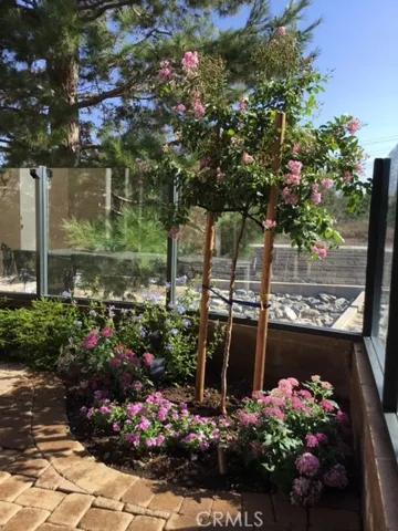 LANDSCAPING WITH CREPE MYRTLE TREE