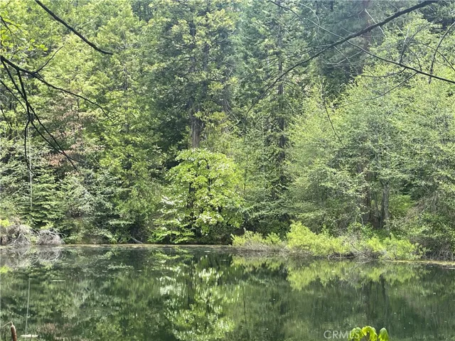 5657 Worman Road, Ahwahnee, California 95338