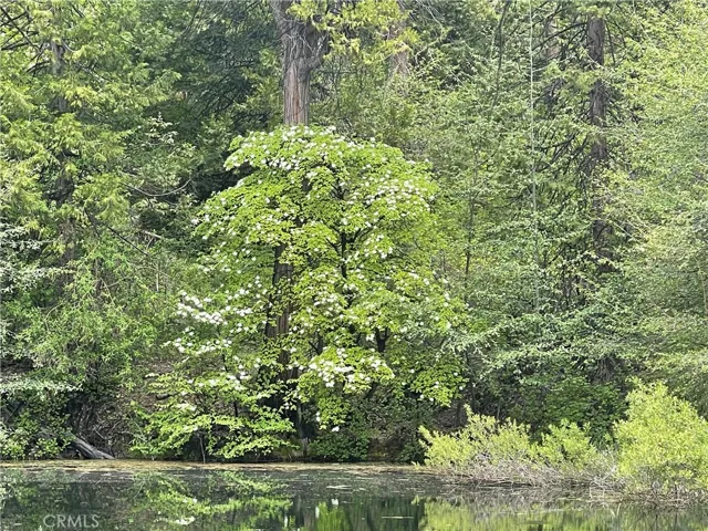 5657 Worman Road, Ahwahnee, California 95338