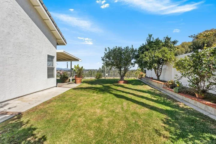 Side Yard