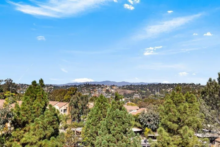 View from back patio