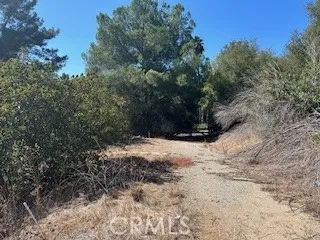 25050 Carancho, Temecula, California 92590