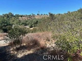25050 Carancho, Temecula, California 92590