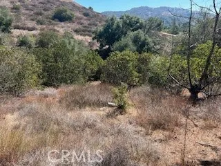 25050 Carancho, Temecula, California 92590