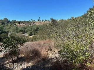 25050 Carancho, Temecula, California 92590