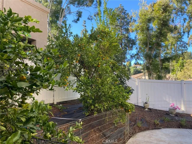 357 S San Vicente Lane, Anaheim Hills, California 92807