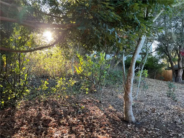 2279 Pineridge Drive, Cambria, California 93428