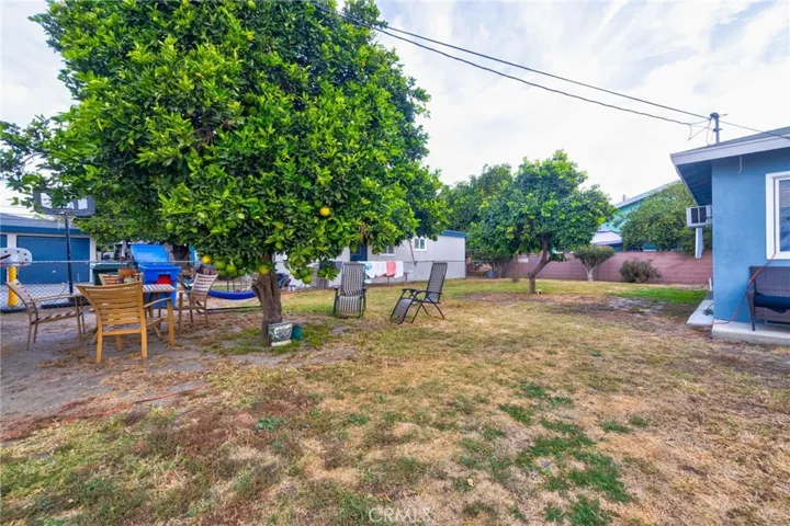 Yard