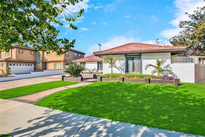 Easy care lawn