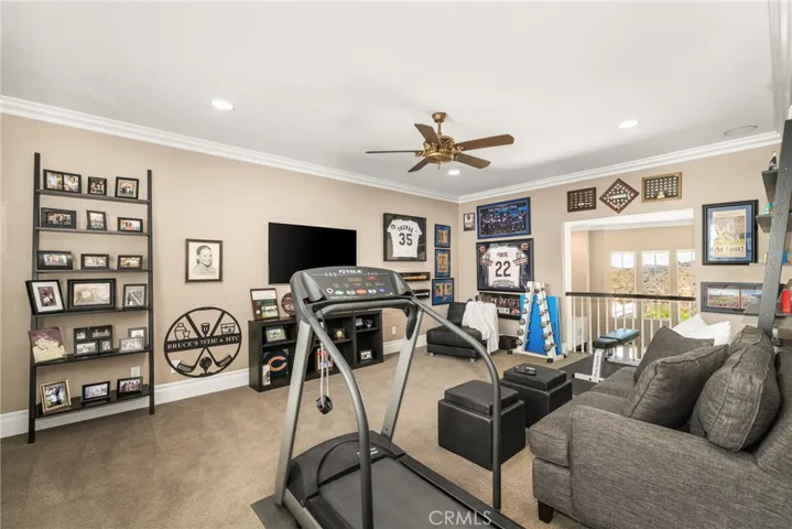 Bonus Room Loft Area