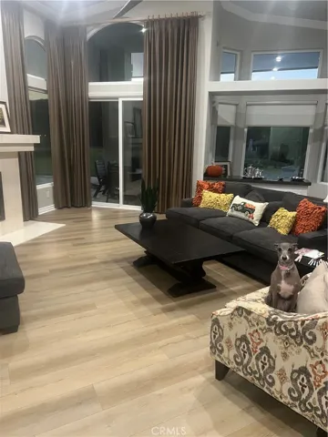 Beautiful Living Room, Vaulted Ceilings