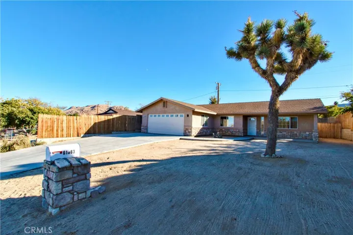 Front of home - large Joshua tree