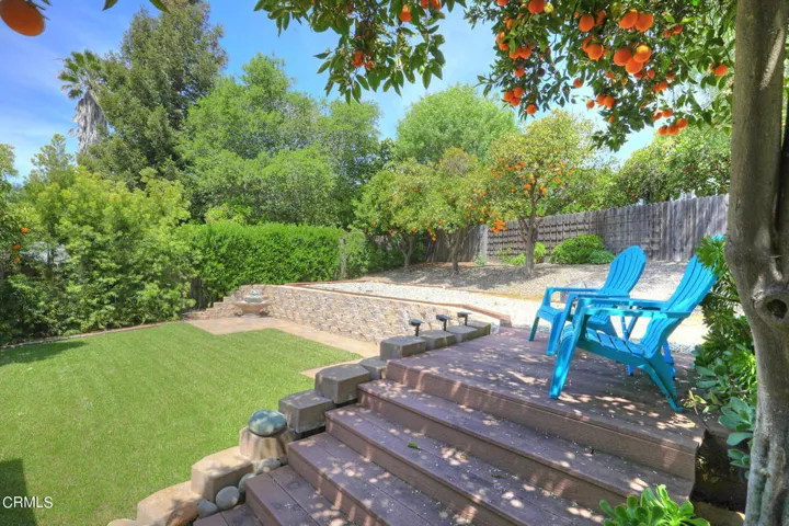 Peaceful yard