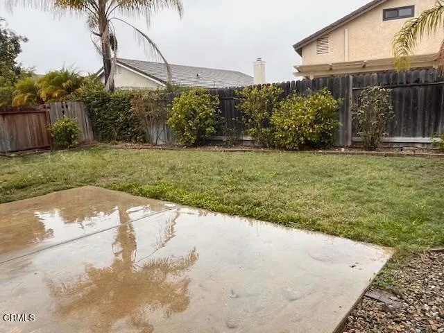 Backyard 2