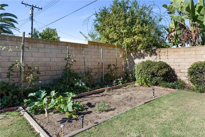 Vegetable garden
