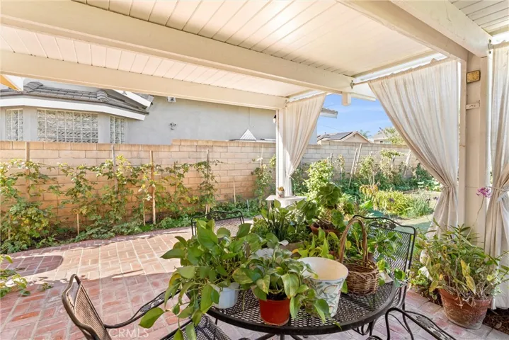 Patio and Boysenberry vines
