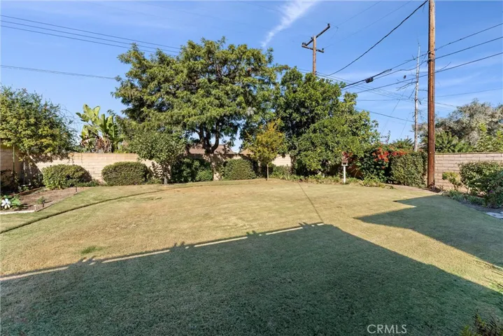 spacious backyard