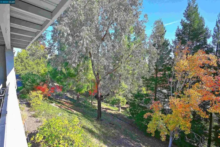 1516 Golden Rain Rd 3, Walnut Creek, California 94595