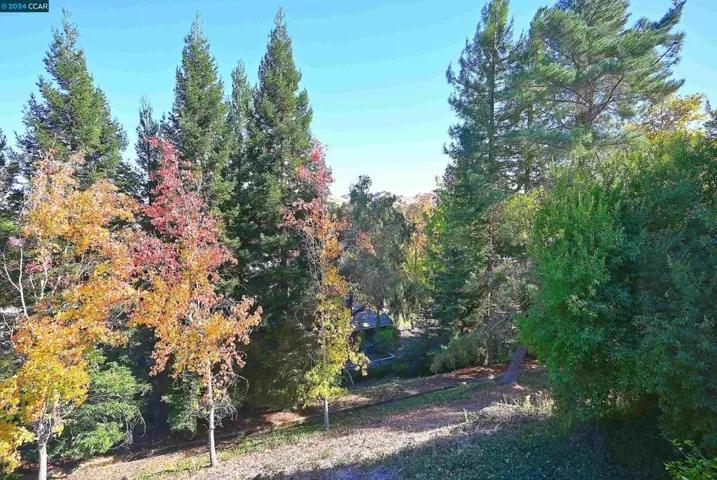 1516 Golden Rain Rd 3, Walnut Creek, California 94595