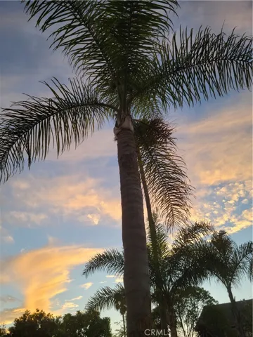 21171 Lochlea Lane, Huntington Beach, California 92646