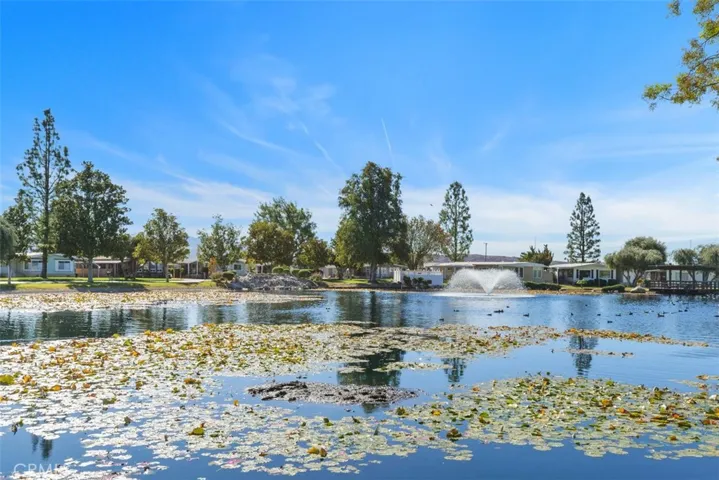 Community lake