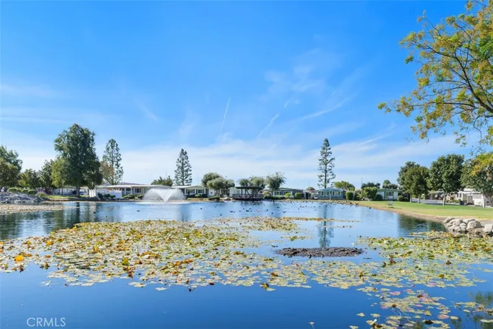Community lake