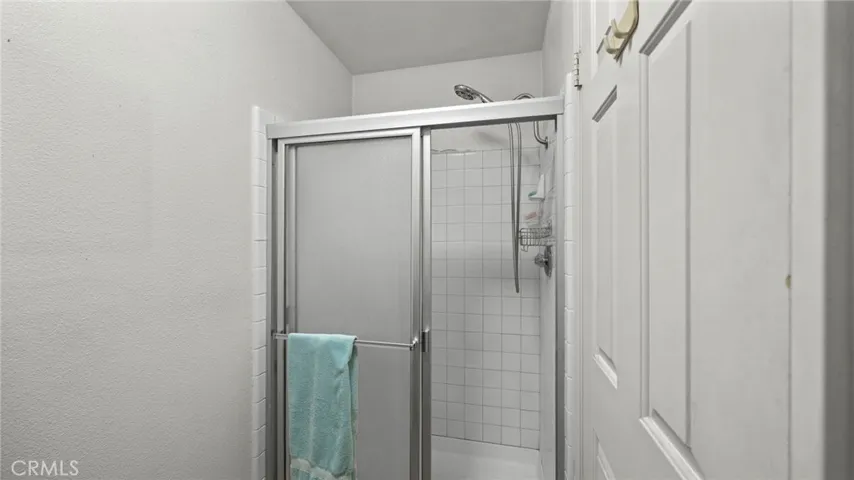 Primary separate shower and toilet area