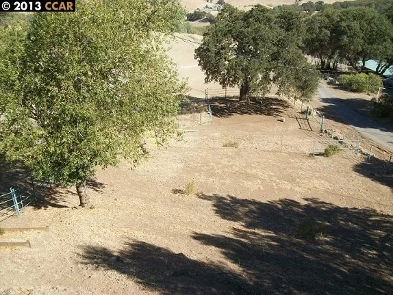 Rear Yard