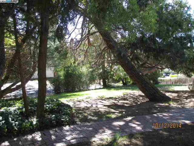 301 Livorna Heights, Alamo, California 94507
