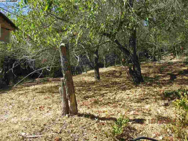 301 Livorna Heights, Alamo, California 94507