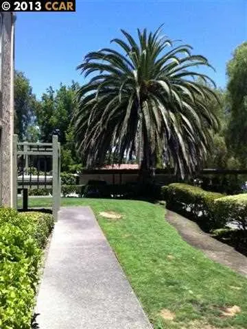 1851 Harrison 9, Concord, California 94520-2311