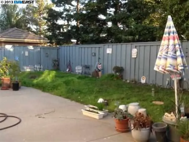 BackYard #2