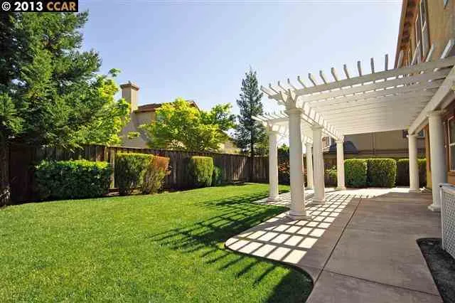 Large Backyard