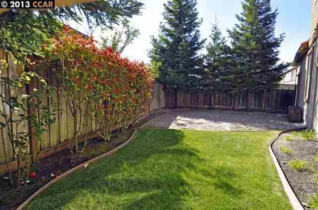 Side Yard