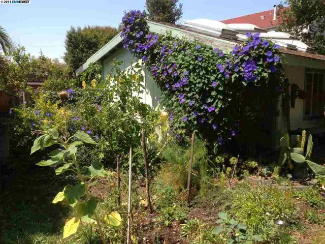 Garden w/Art Studio