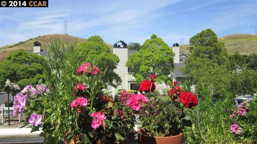 hill-view from balcony