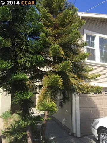 3069 Birdsall Ave, Oakland, California 94619-3305