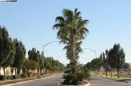 1473 Shearwater Drive, Patterson, California 95363-8841